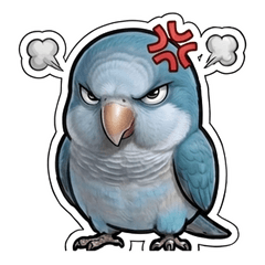 Grumpy Blue Quaker Parrot