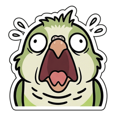 Drama Queen Green Quaker Parrot
