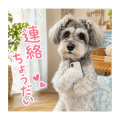 Cony's Polite Summer Greetings