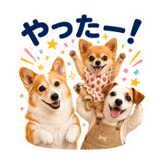 CHie_20260703211329