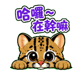 台灣特有動植物|日常問候暖心貼圖