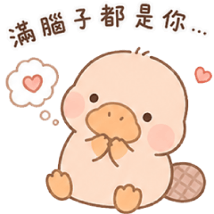 軟萌鴨嘴獸滿腦子都是你