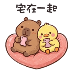 cute tiny capybara8