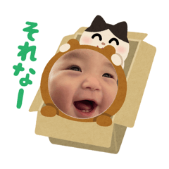 司温6