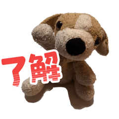 mayu_20260629205706
