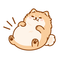 Fluffy bun pup