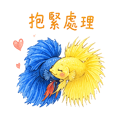 可愛的孔雀魚+鬥魚