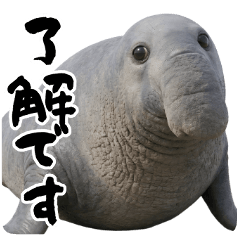 ゾウアザラシのしょんぼりスタンプ