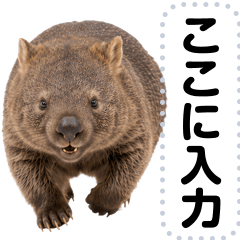 ウォンバットのメッセージスタンプ