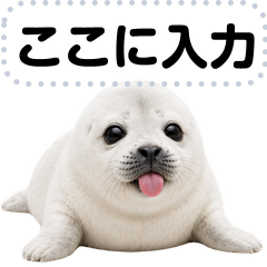 可愛いアザラシのメッセージスタンプ