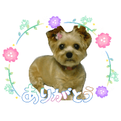 pon_20260630145102