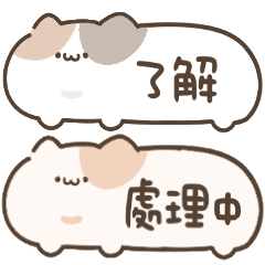 Cute cat speech bubbles!