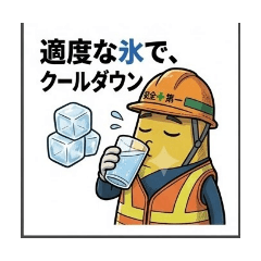 BOBO_20260628082818