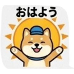 y,s_20260628214450