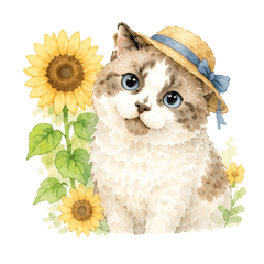 kinatsuba_20260628225423