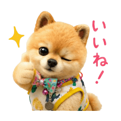 megu_20260628230012