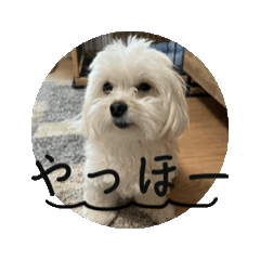 hana_20260706073331