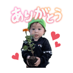 mao_20260629005205
