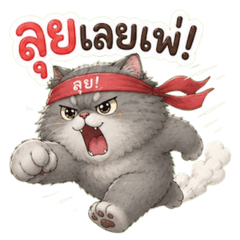 แมวอ้วนกวนประสาทมาก