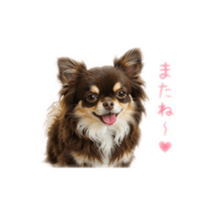 tiwawa1