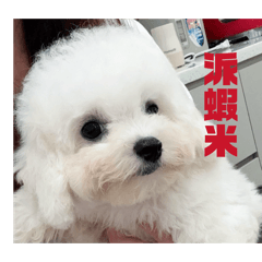 財米想要財米得到