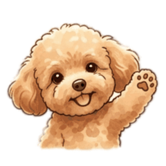 Fluffy Toy Poodle CoCo Daily Stickers