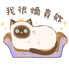 Elegant Cat Daily Life