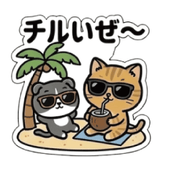Shop cat Stickers