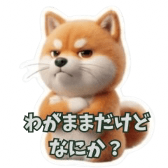 A spoiled Shiba Inu