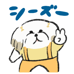 かわいいシーズー犬たち2