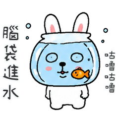 QQQQQQQQQQQQQugly rabbit2