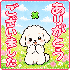 飛び出す！白い犬のデカ文字敬語【再販】