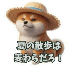 Shiba Inu's Summer