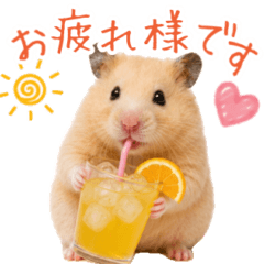 Real Golden Hamster Summer Fun