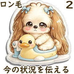 3D Shih tzu 2026 (Long hair) 2