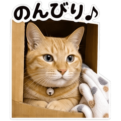 Kojirou the Orange Tabby's Daily Life