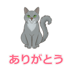Gray Cat (Gray) Daily Stickers