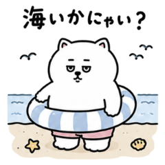 夏がきたにゃん