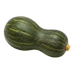 春夏秋冬★京野菜