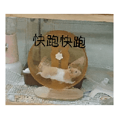 嘻嘻動態