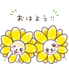 Twin Chihuahuas Ruru&Ruri