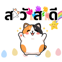 แมวอ้วนน่ารัก胖貓超可愛
