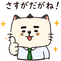 Nagoya Cat Uncle 40-2