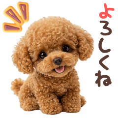 ぬいぐるみシリーズ♡トイプードルのご挨拶