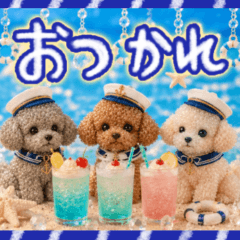 Summer Walks for Toy Poodles