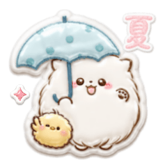 Glossy Puffy Fluffy Pomeranian Summer