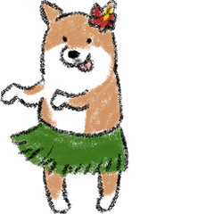 Shiba that looks like an inari sushi2