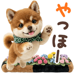 ぬいぐるみシリーズ♡柴犬のご挨拶