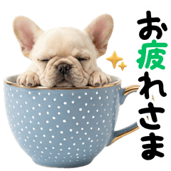 ぬいぐるみシリーズ♡フレブルのご挨拶