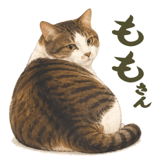 UchinoKo_Momo